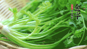 挑選鮮嫩的香菜，洗干凈后，處理成小段。